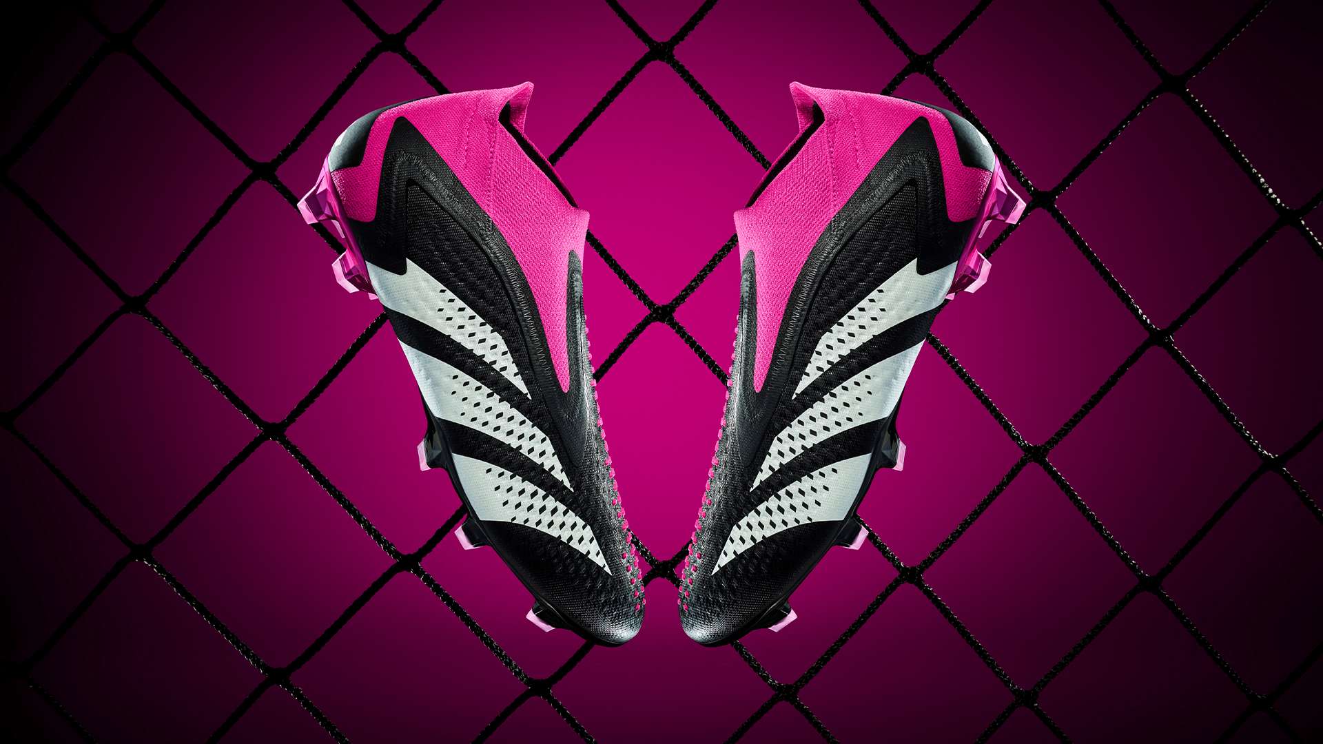 作為荷甲的 作為荷甲的